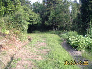 <FONT size="-1">伝統の琉球畳の畑へ草取りに行きました。</FONT>