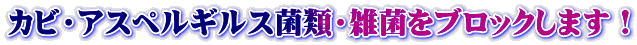 カビ・アスペルギルス菌類・雑菌をブロックします！